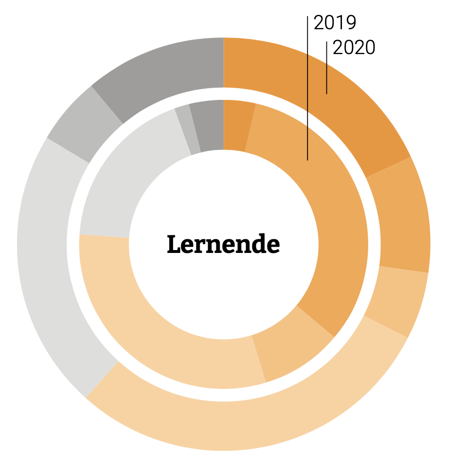 Kreisdiagramm der Lernenden im Jahr 2020 – folgende Tabelle gibt weitere Informationen.