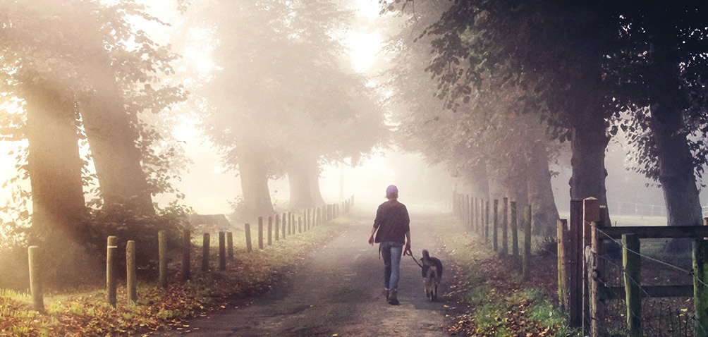 Ein Blick in die Zukunft: Morgendlicher Spaziergang mit dem Hund
