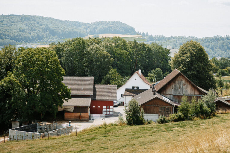 Blick auf den Bio-Bauernhof mit Aussenfläche, Stall und Nebengebäuden.