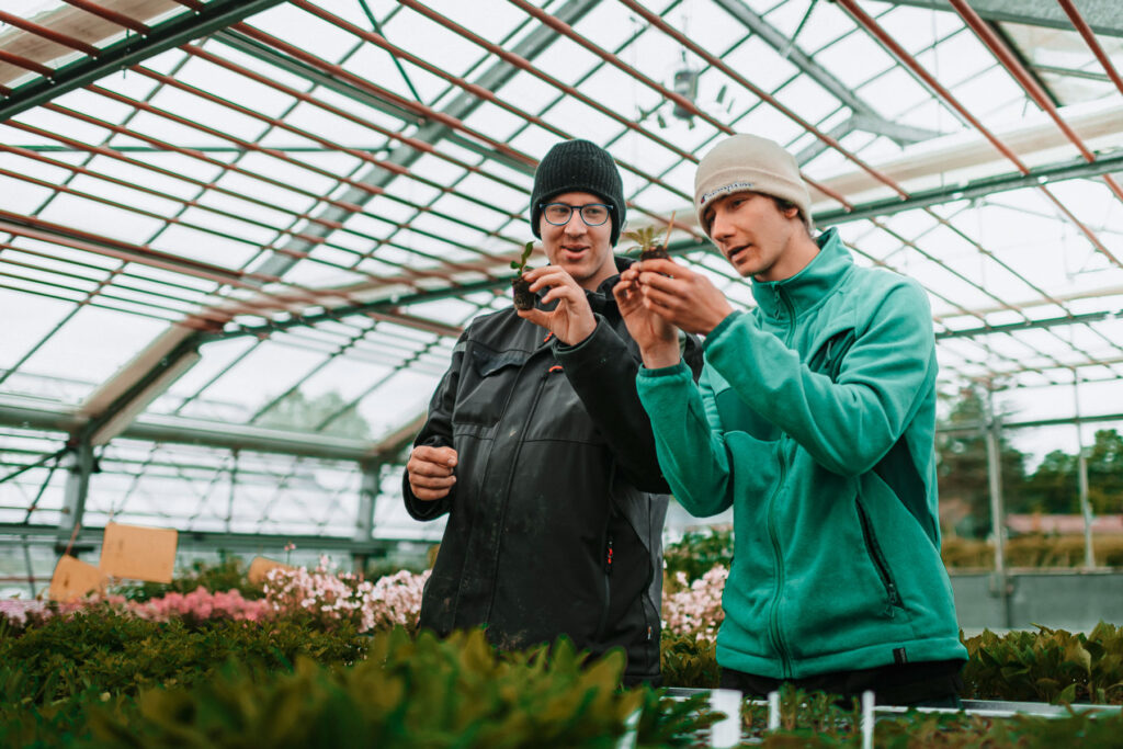 Two young people each hold a seedling in their hand and talk to each other. In the foreground and background are many flowers and seedlings. They are in a greenhouse.