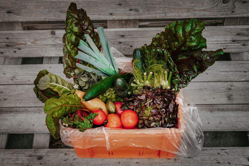 Frisches Gemüse verpackt in einer orangenen Kunststoff-Box, welche auf einer Holzpalette steht.