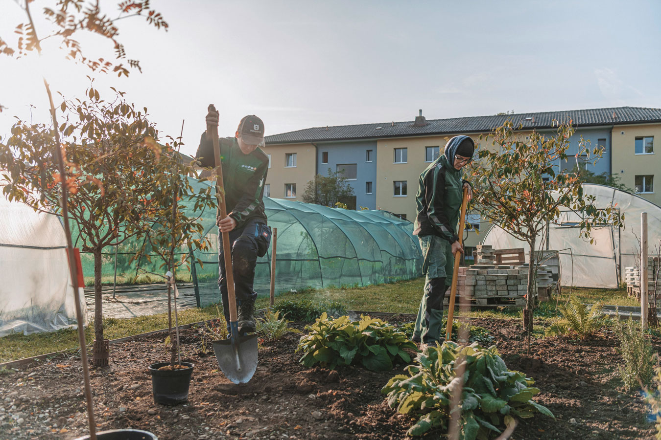 Zwei junge Menschen schaufeln in einem Gartenbeet.