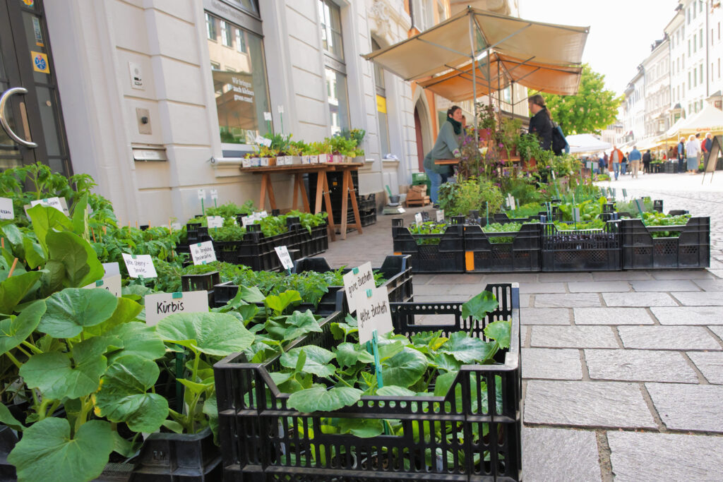 Market stall with a variety of plants